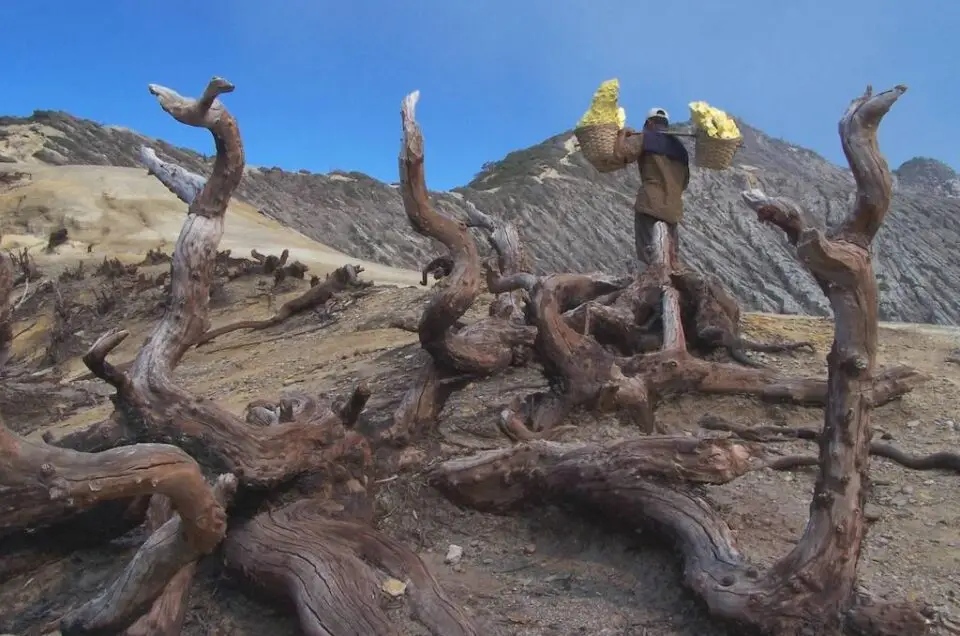 Ijen Crater Tour