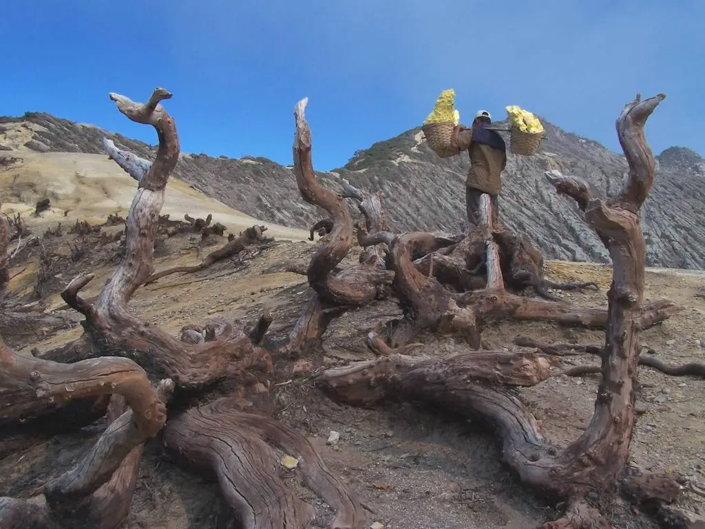 Ijen Crater Tour