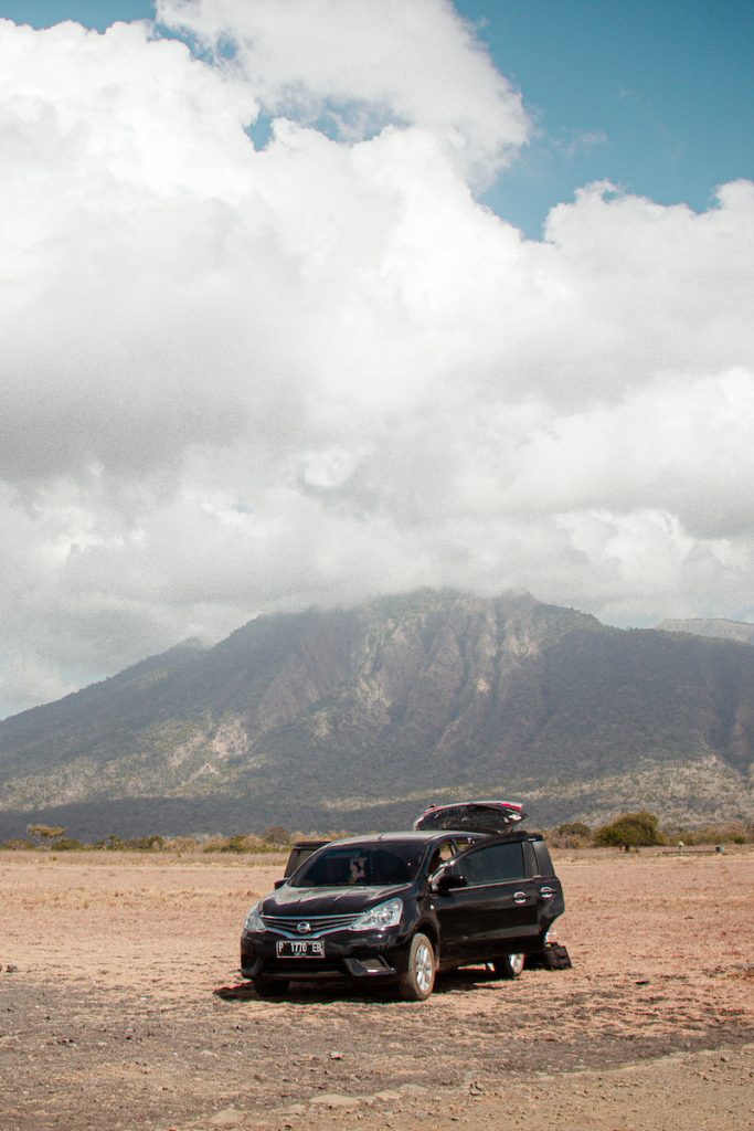 Bekol Savana Baluran