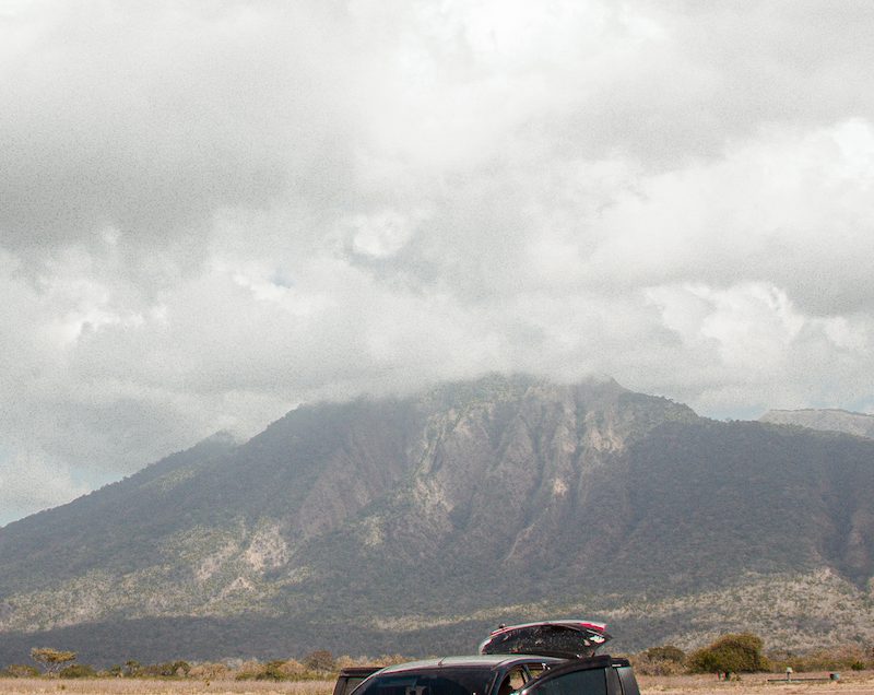 Bekol Savana Baluran