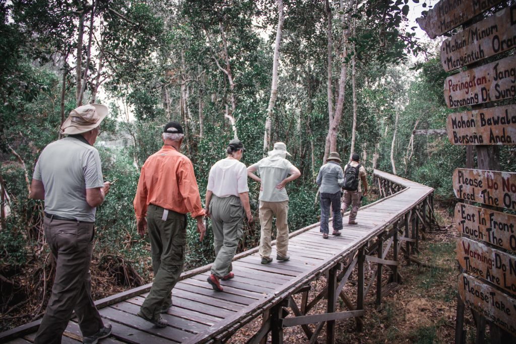 Trekking Orang Utan