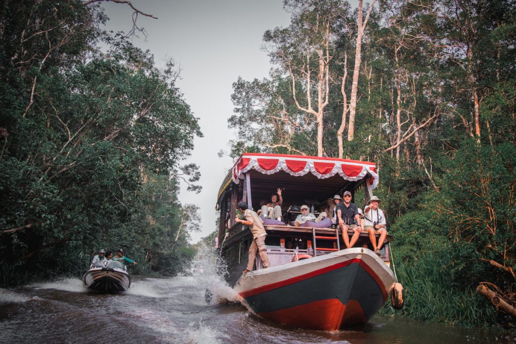 Klotok Orang Utan Tour