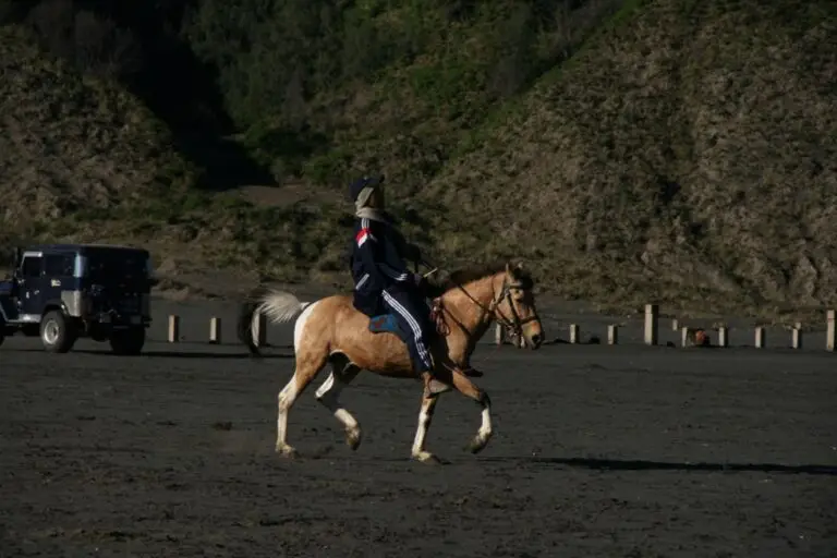 Bromo Horse Riding