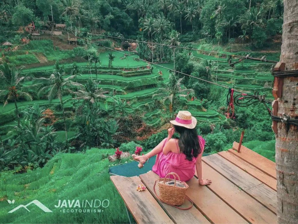 Rice Field Ubud Bali