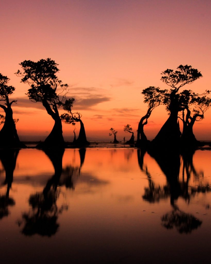 Sunset Walakiri