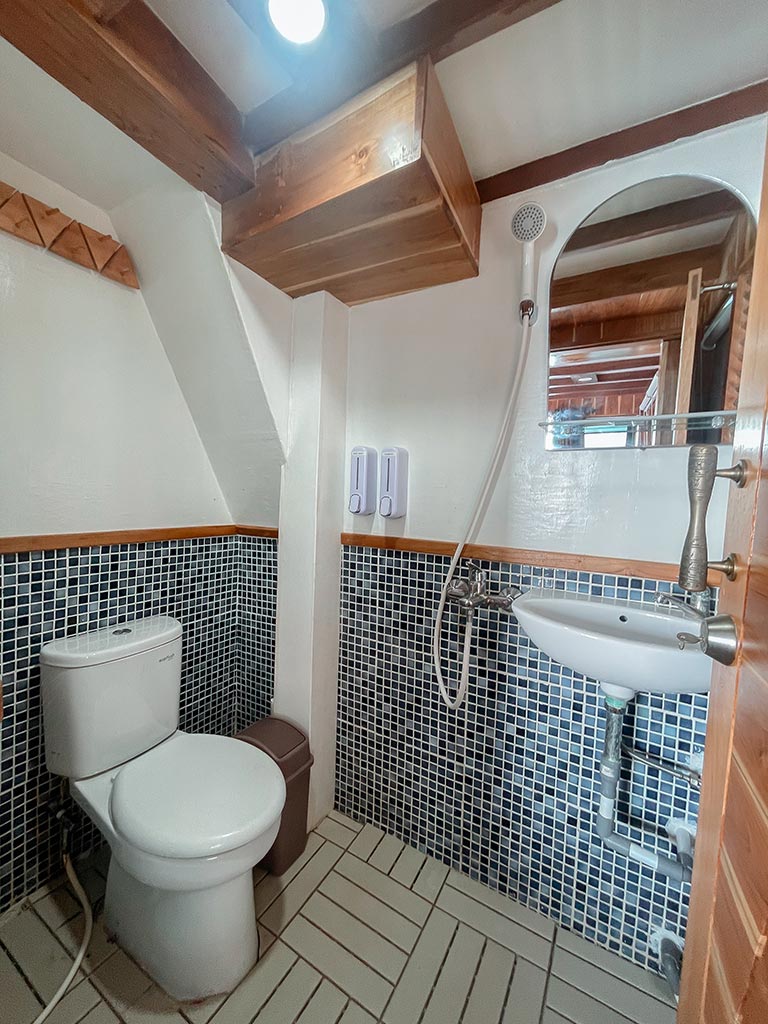Toilet Liveboard
