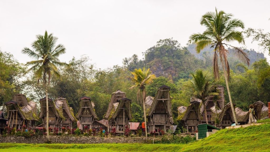 Tana Toraja