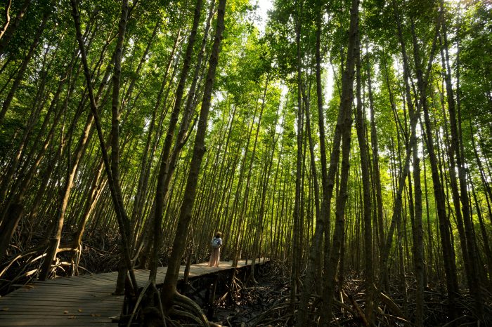 7 Days Eco-Education & Sustainability Program in Bali