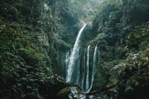Curtain-like waterfall surrounded by green tropical vegetation