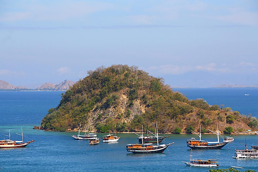 Labuan Bajo Flors