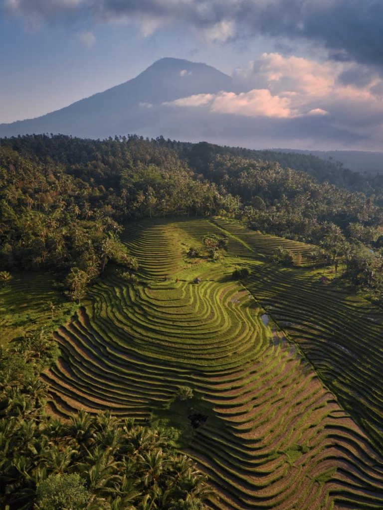 Sasandan Bali