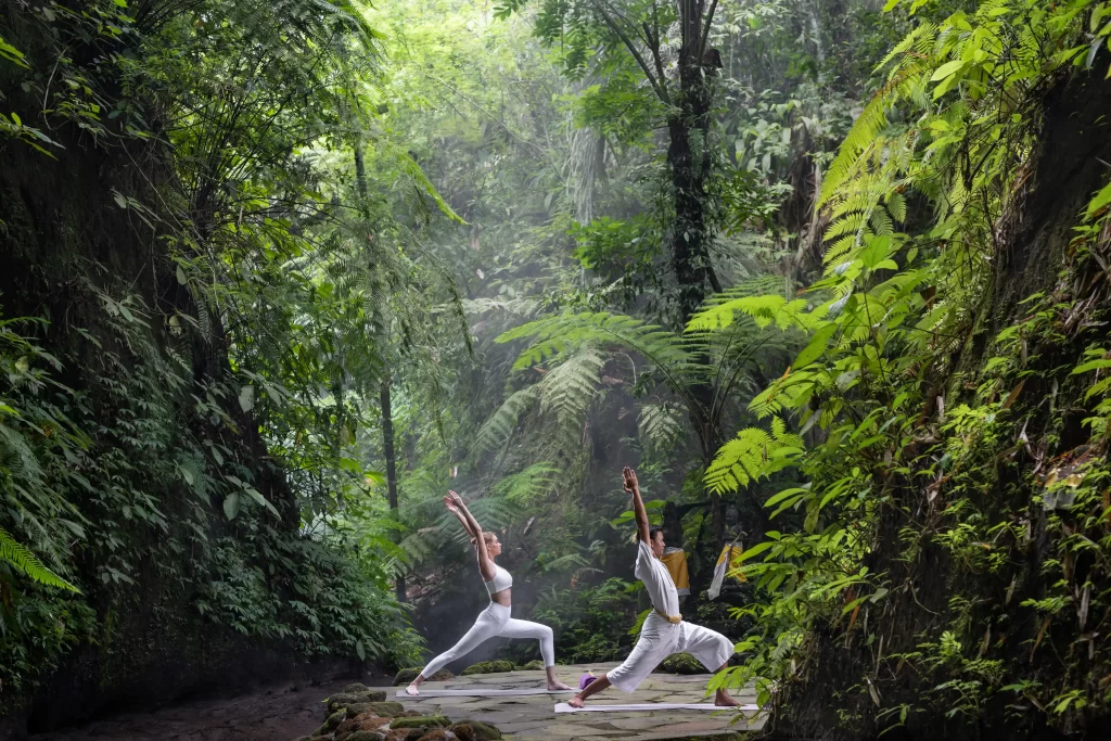 Bali Wellness Trip