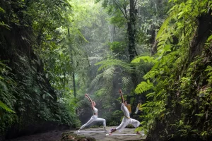 Bali Wellness Trip