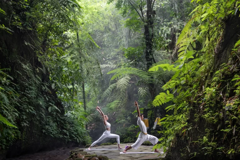 Bali Wellness Trip