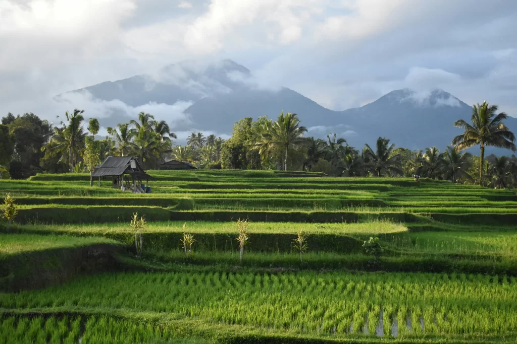 Indonesia Tours