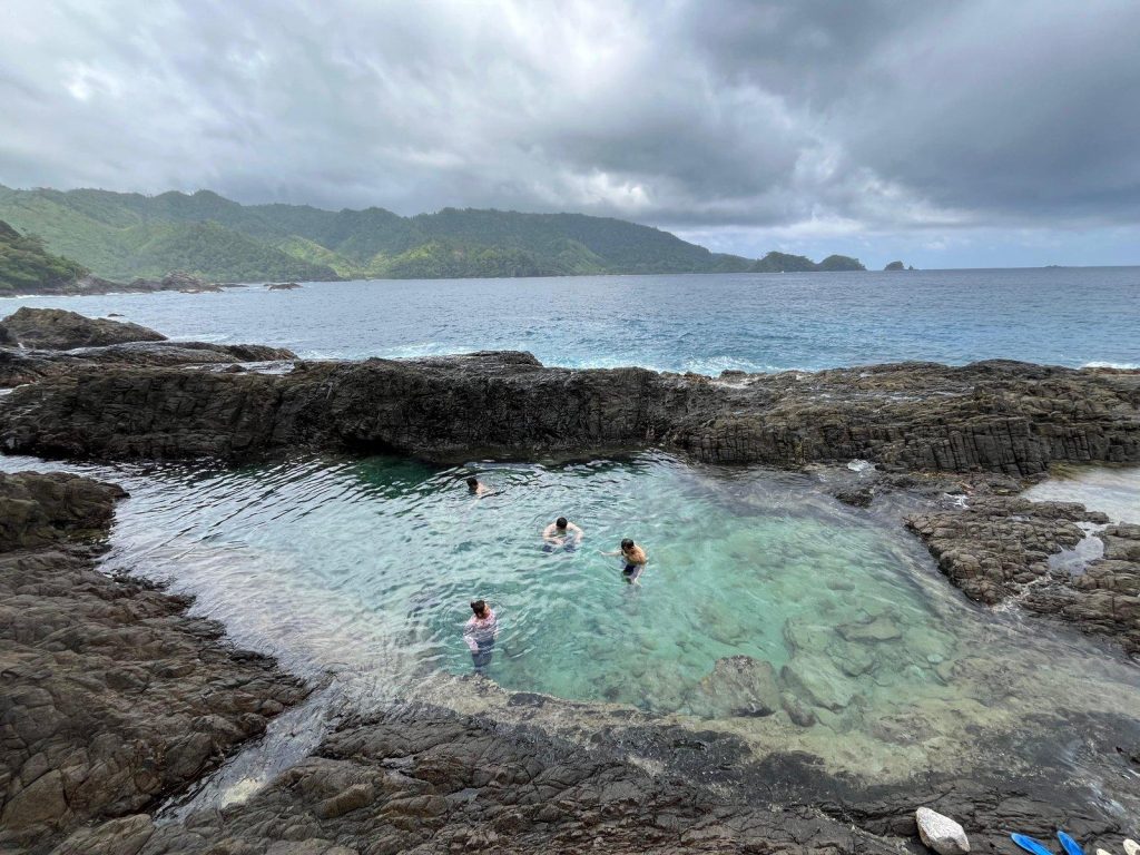 Dolphin Kiluan Bay