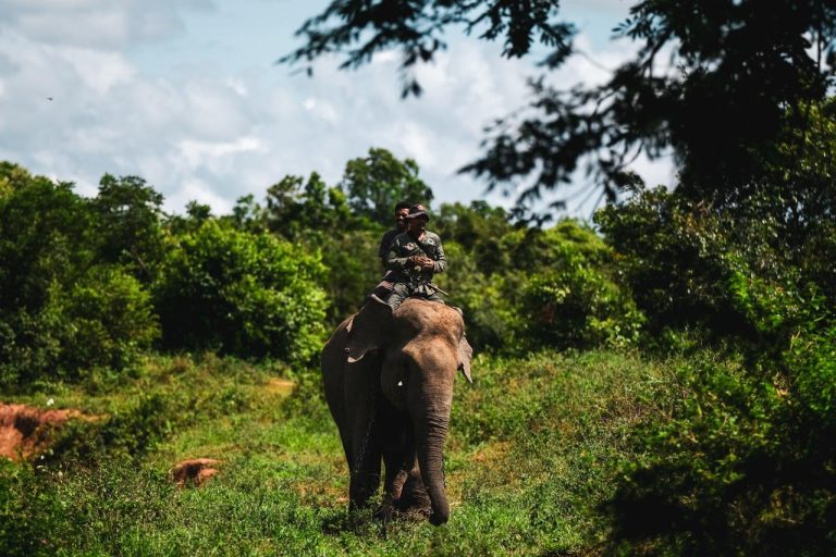 Way Kambas National Park Sumatra