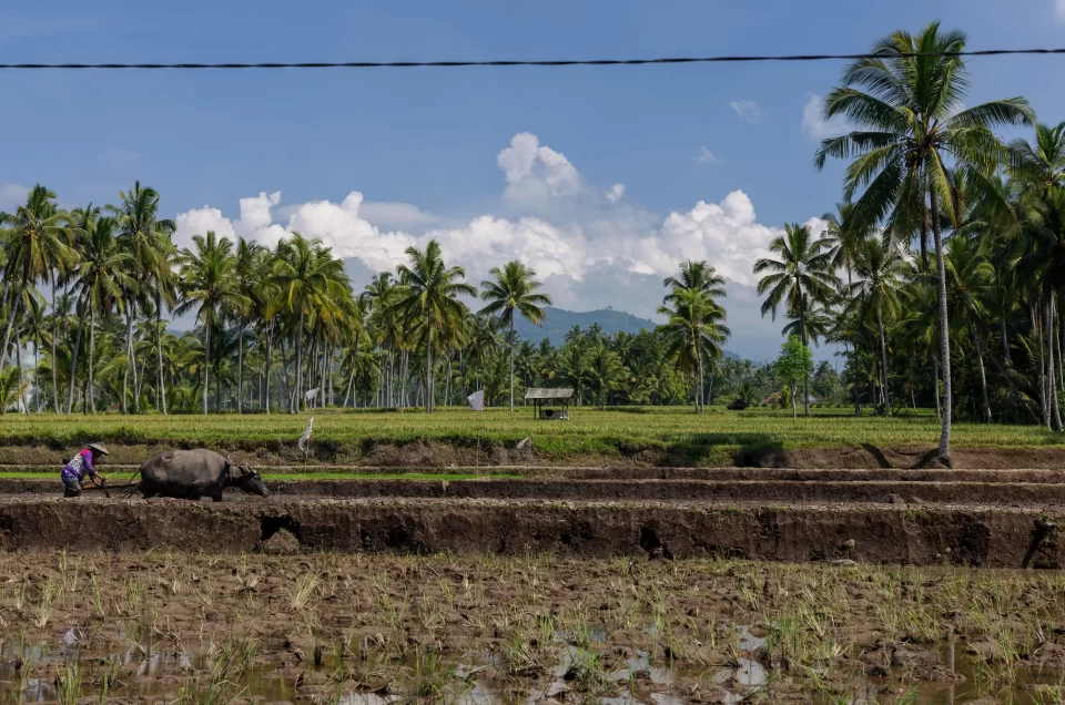 Indonesia Itinerary tour