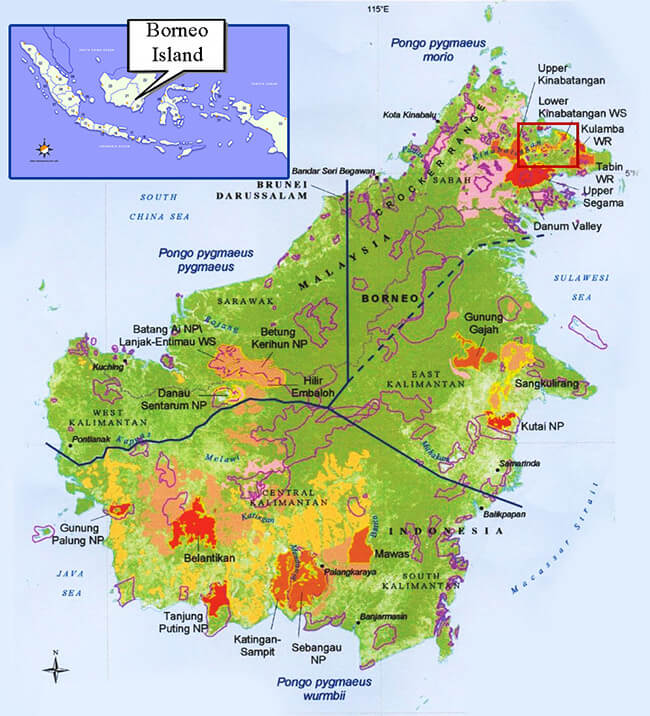 Borneo Maps