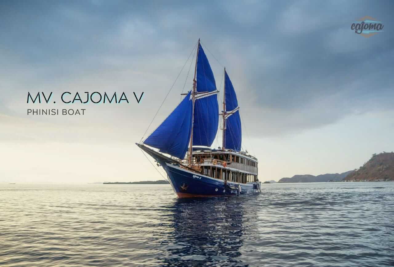 Sailing Komodo Tour