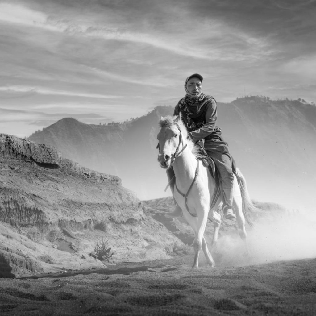 Bromo Horse